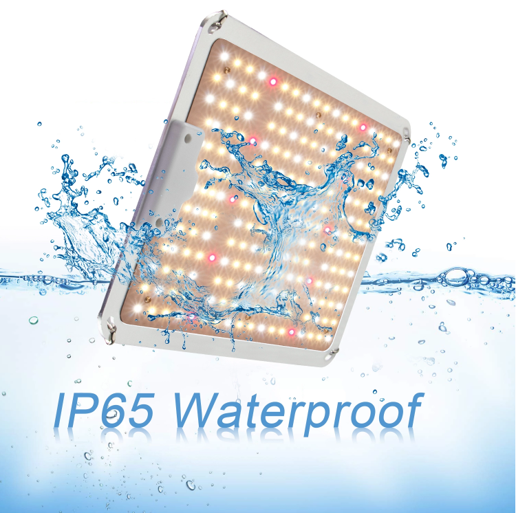 110w Full Spectrum Led Grow Lights Ip65 (1)