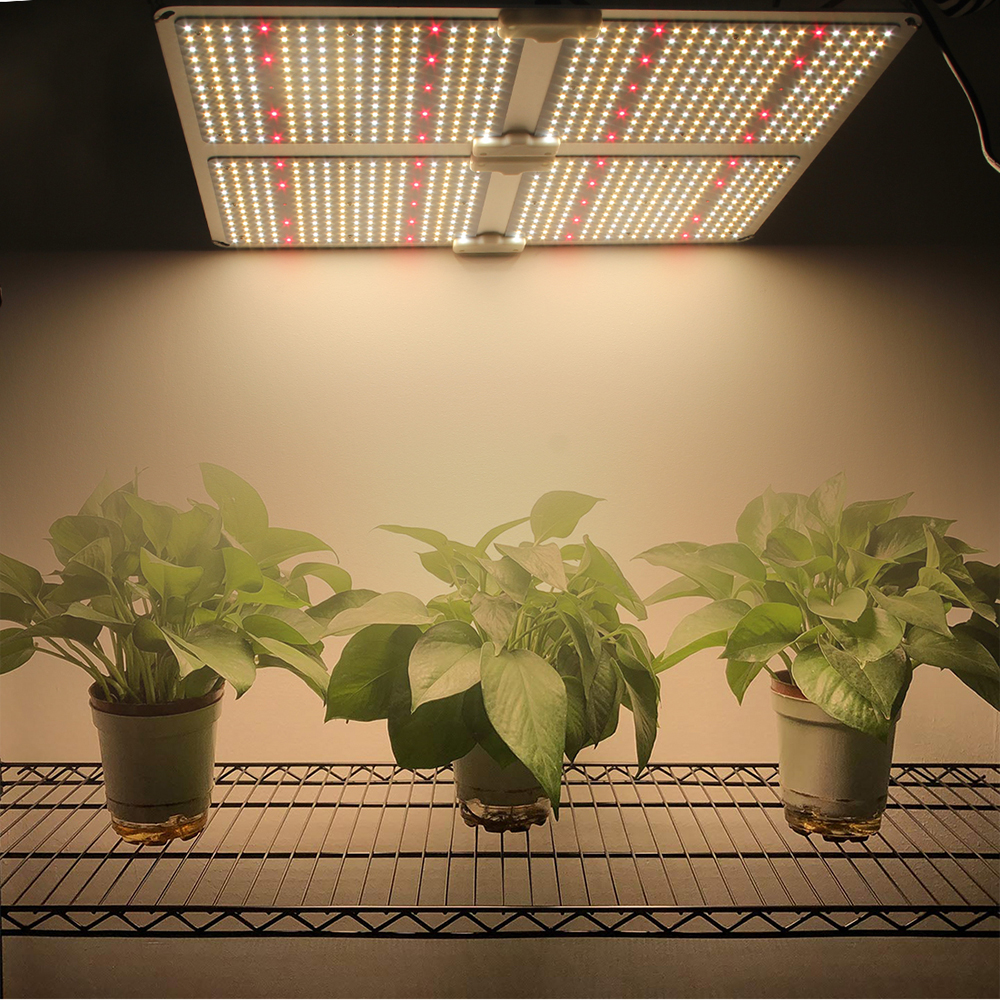 450w Led Plant Grow Light Ip65 With Full Spectrum 100 277v 3500k (3)