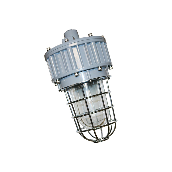 Portable Explosion Proof Lighting 40w 5,400 Lumens Ac100 277v Ip66 Etl Ul Listed For Hazardous Area (2)