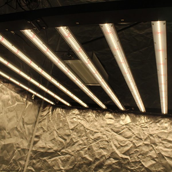 600w Cannabis Growing Lights Ip65 With Full Spectrum Etl Listed (7)