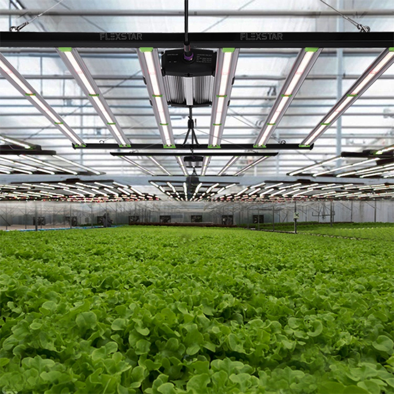 Application Of Led Grow Light 3