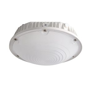 Led Gas Station Canopy Lighting 30w Ip65 5000k 3900 Lumen With Etl Dlc Listed 120 277v 250