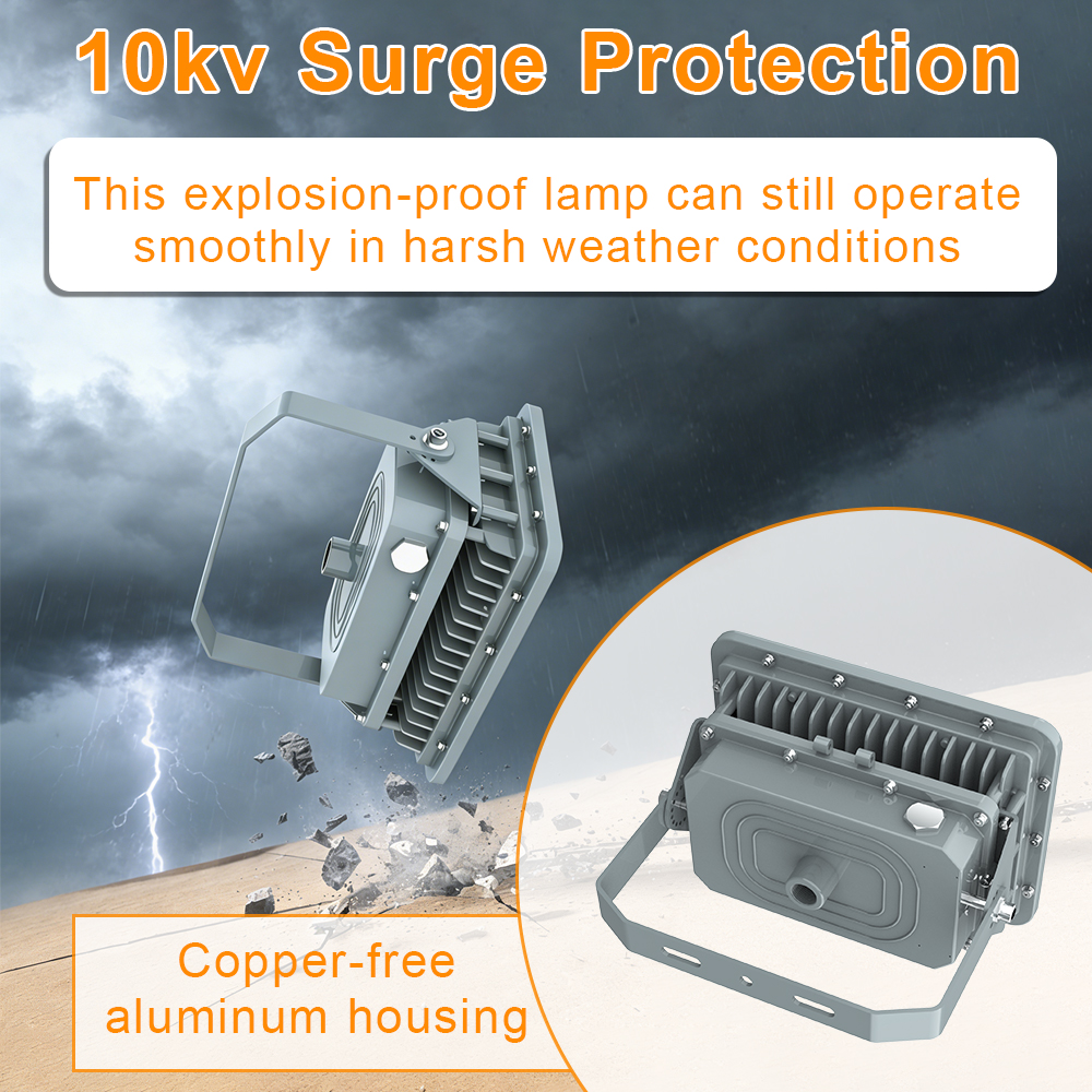 Explosion Proof Led Light Fixtures Ac100 277v 60w Ip66 With Etl Ul Listed For Class 1 Division 2 Hazardous Location (6)