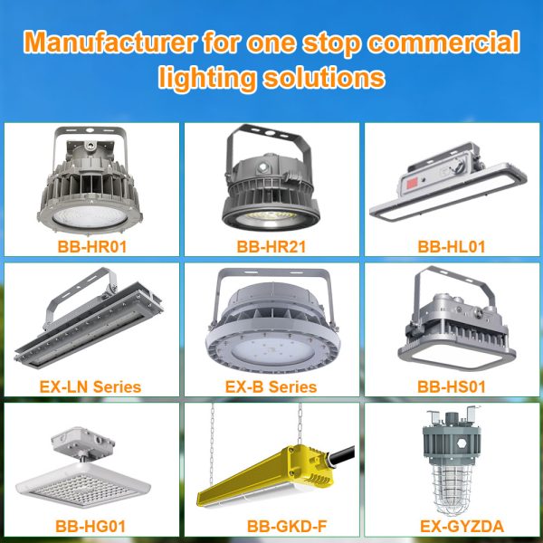 10w Ip65 Explosion Proof Emergency Light Ac120 347v For Dust Workshop For Class I Division Ii (13)